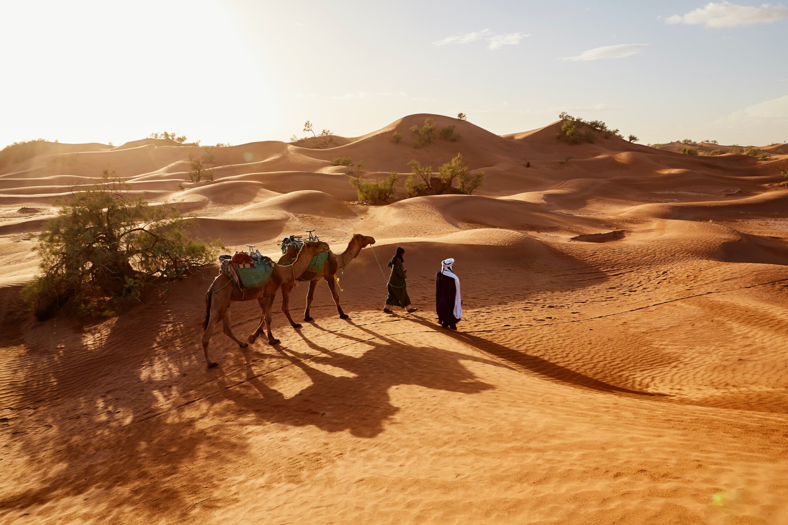fabien-bazanegue-dA-kSCn0K20-unsplash fabien-bazanegue-dA-kSCn0K20-unsplash
